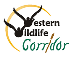 Wester Wildlife Cooridor Logo