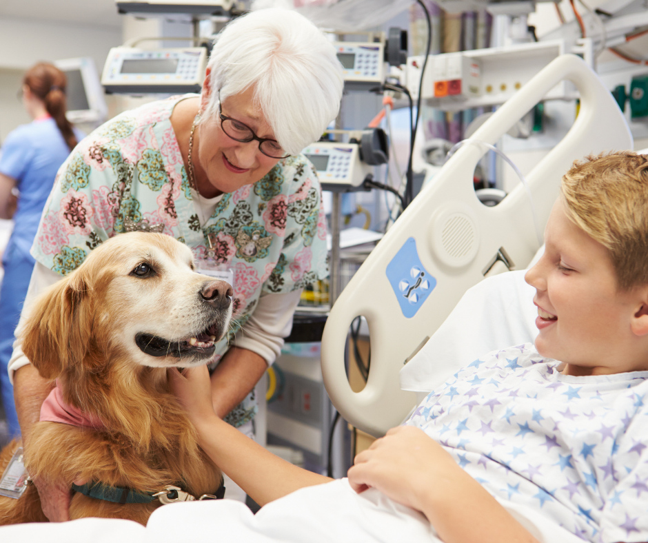 Photo of a therapy dog visiting with a child in the hospital