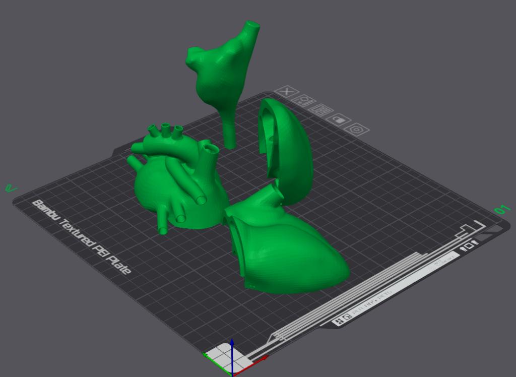 Image of the split pieces of a 3D heart and an alignment piece.