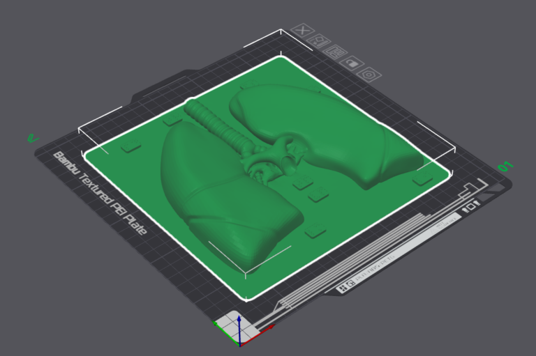 This is an image of a relief of a set of lungs with some braille letters.