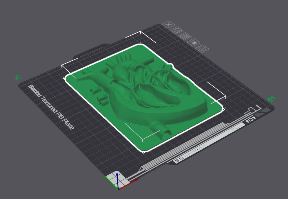 This is a relief of a heart, showing the valves and chambers.