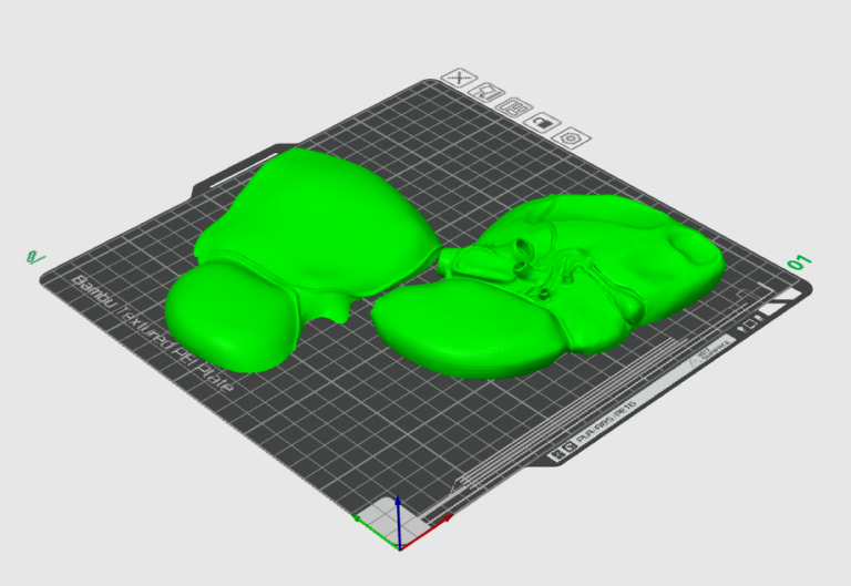 This is an image of a liver 3D model split in two.