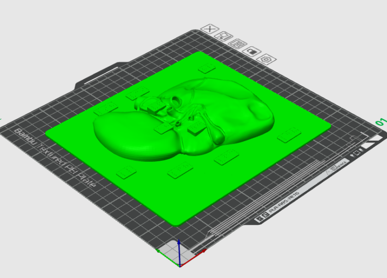 This is an image of a 3D relief of a liver with braille labels.